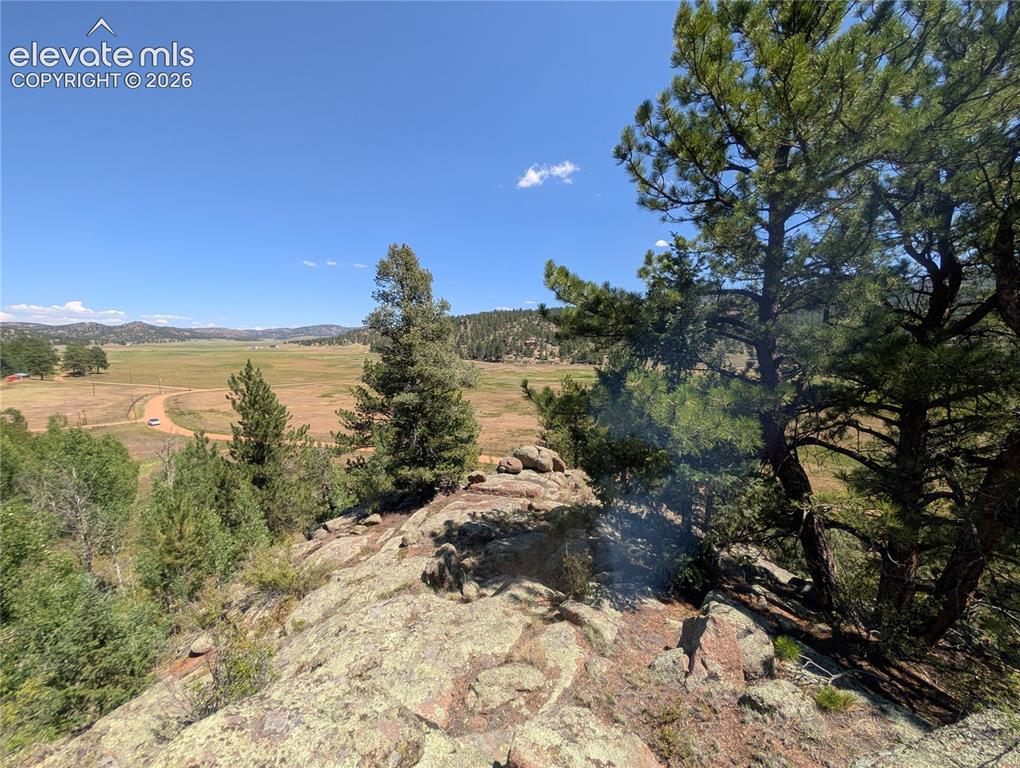 313 Elliott Drive Florissant CO 80816
