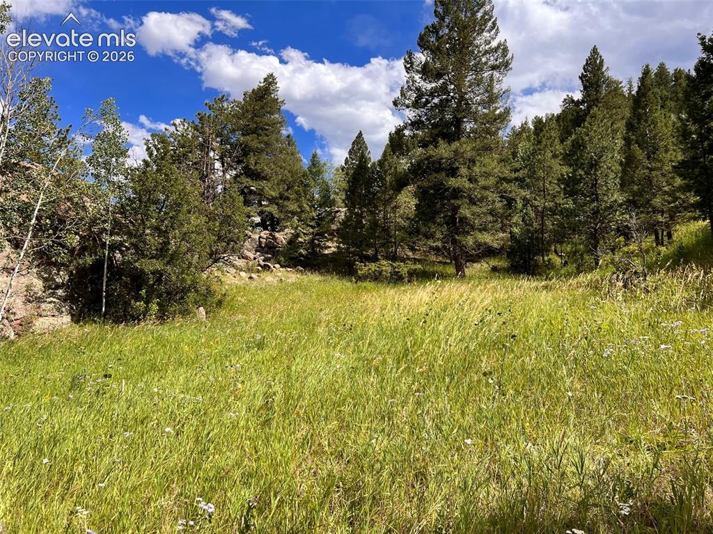 313 Elliott Drive Florissant CO 80816