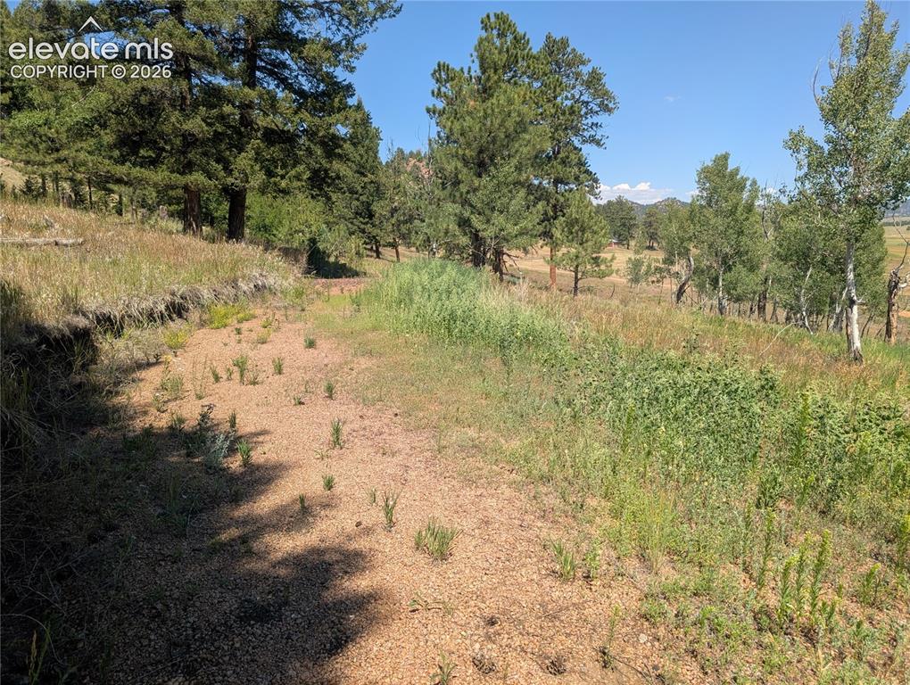 313 Elliott Drive Florissant CO 80816