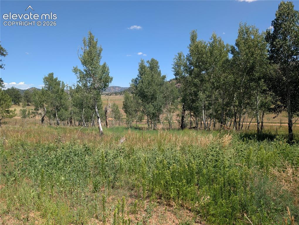 313 Elliott Drive Florissant CO 80816