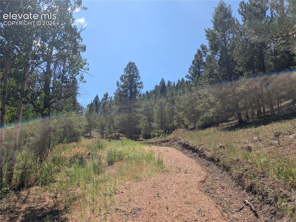 313 Elliott Drive Florissant CO 80816