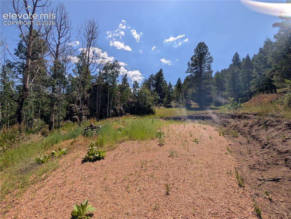 313 Elliott Drive Florissant CO 80816