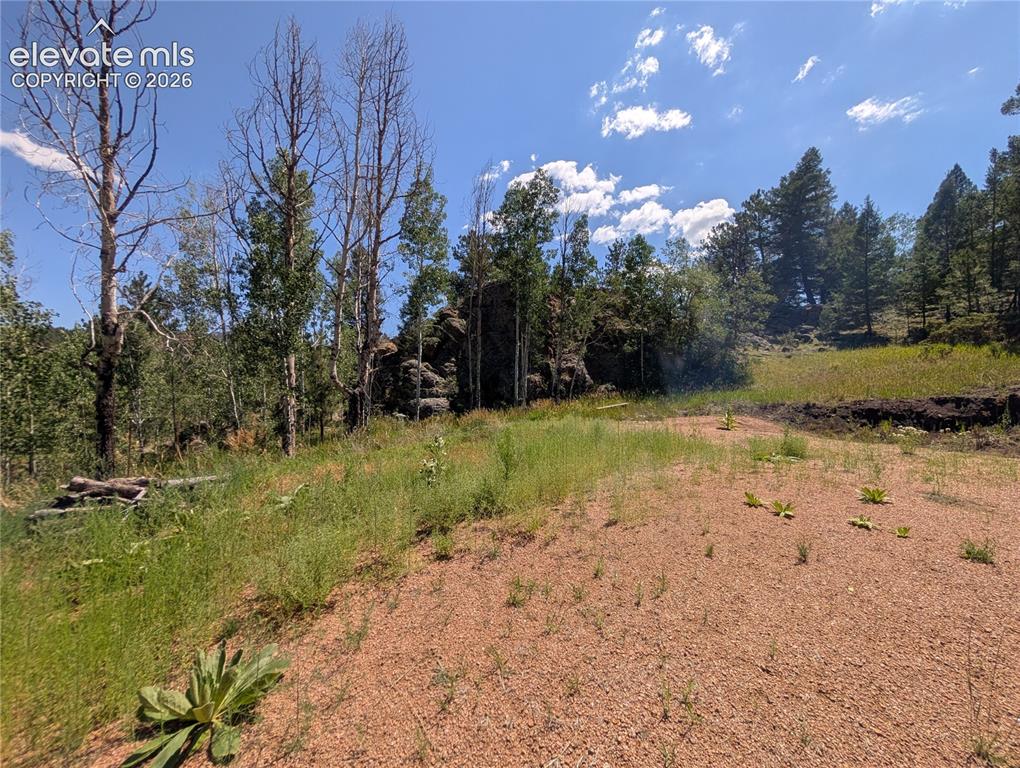 313 Elliott Drive Florissant CO 80816