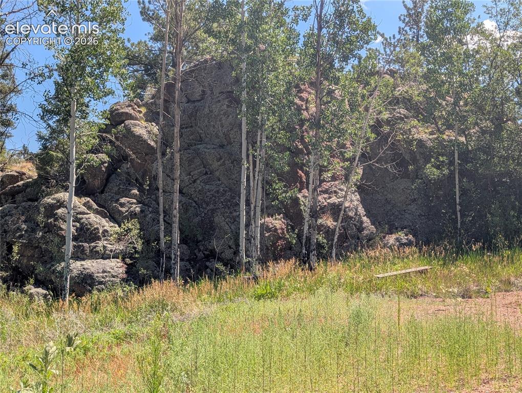 313 Elliott Drive Florissant CO 80816