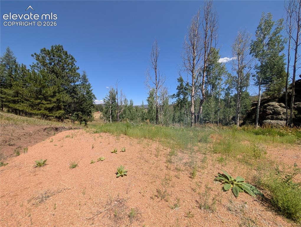 313 Elliott Drive Florissant CO 80816