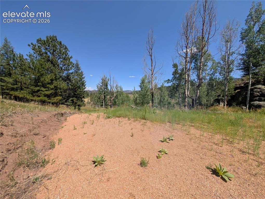 313 Elliott Drive Florissant CO 80816