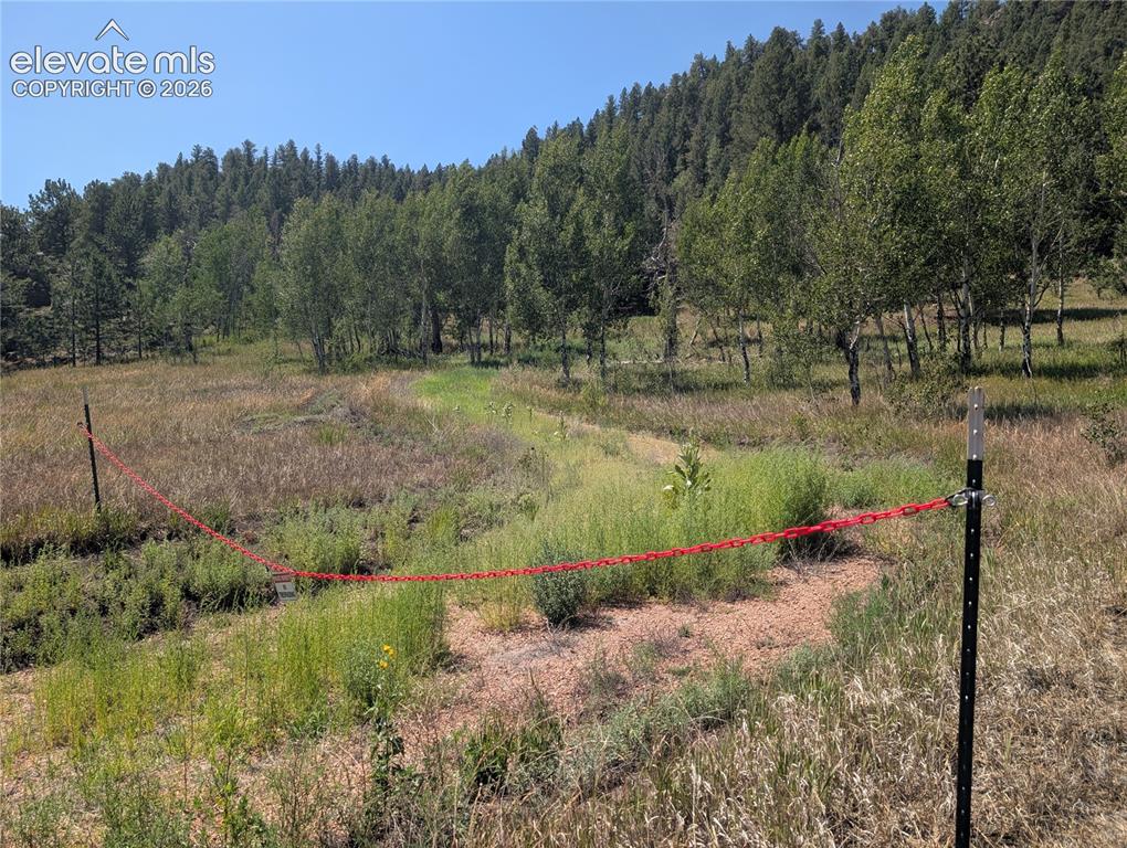 313 Elliott Drive Florissant CO 80816