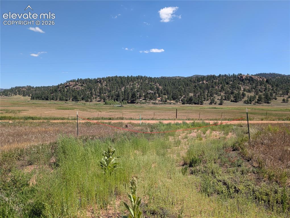 313 Elliott Drive Florissant CO 80816