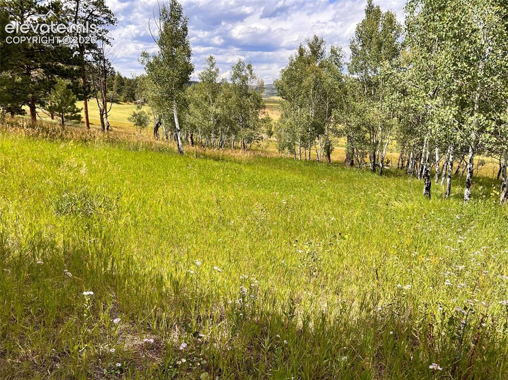 313 Elliott Drive Florissant CO 80816