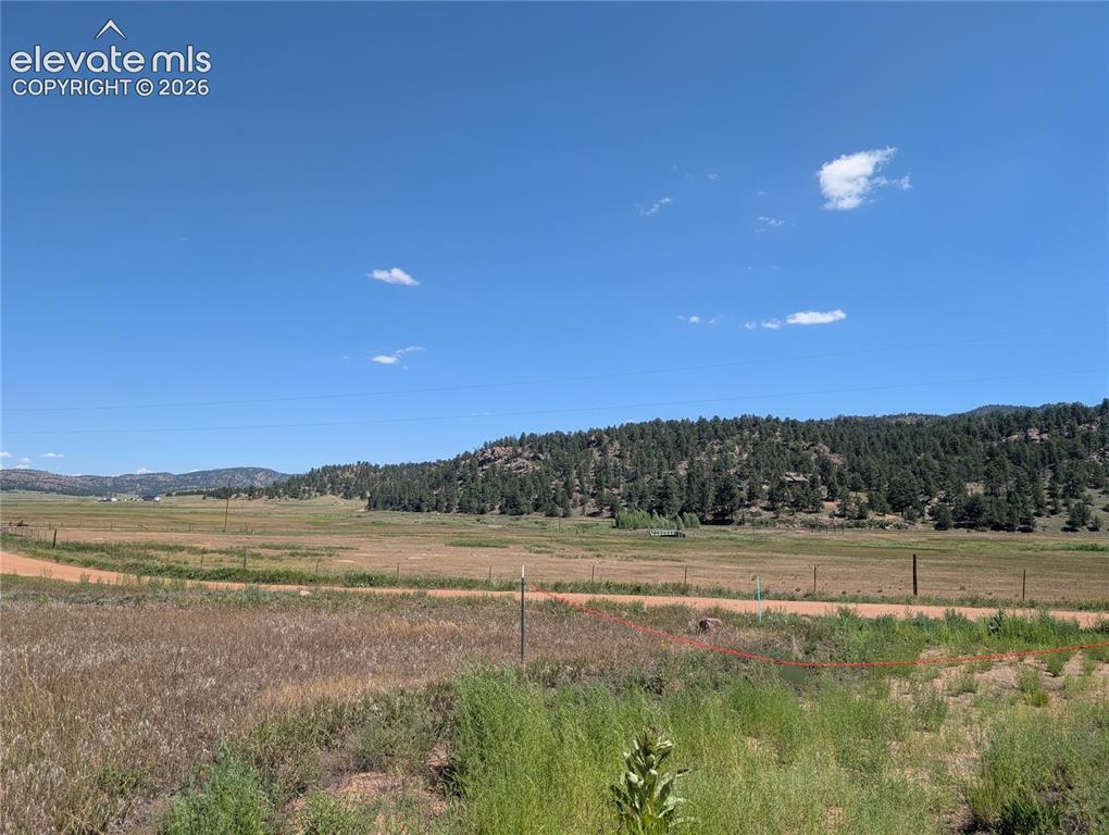 313 Elliott Drive Florissant CO 80816