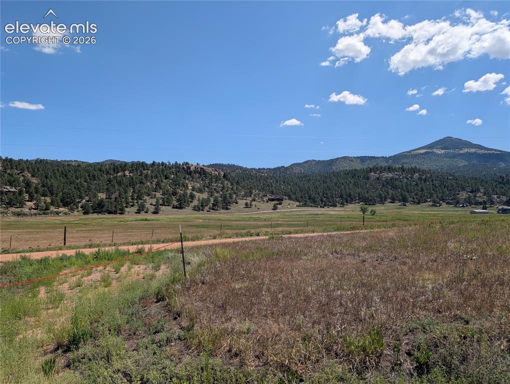 313 Elliott Drive Florissant CO 80816
