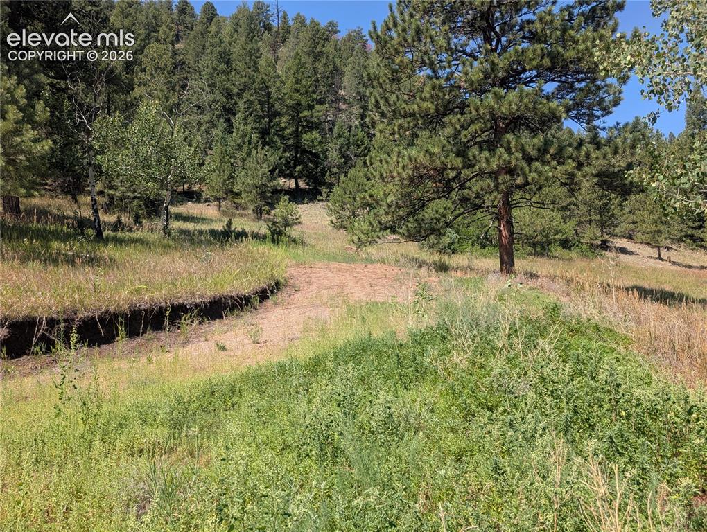 313 Elliott Drive Florissant CO 80816