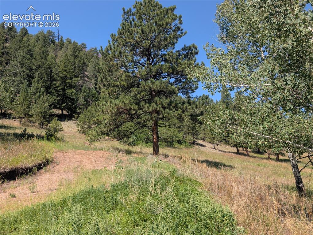 313 Elliott Drive Florissant CO 80816