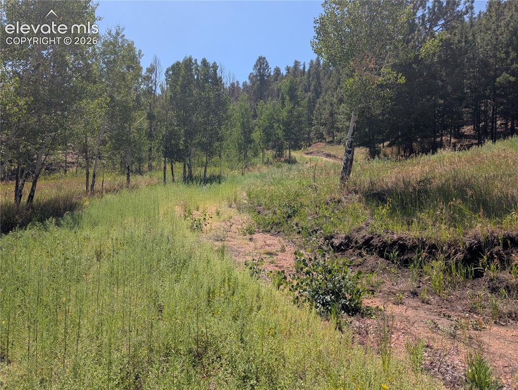 313 Elliott Drive Florissant CO 80816