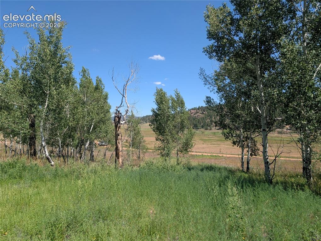 313 Elliott Drive Florissant CO 80816