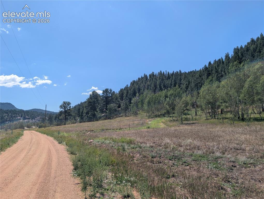 313 Elliott Drive Florissant CO 80816