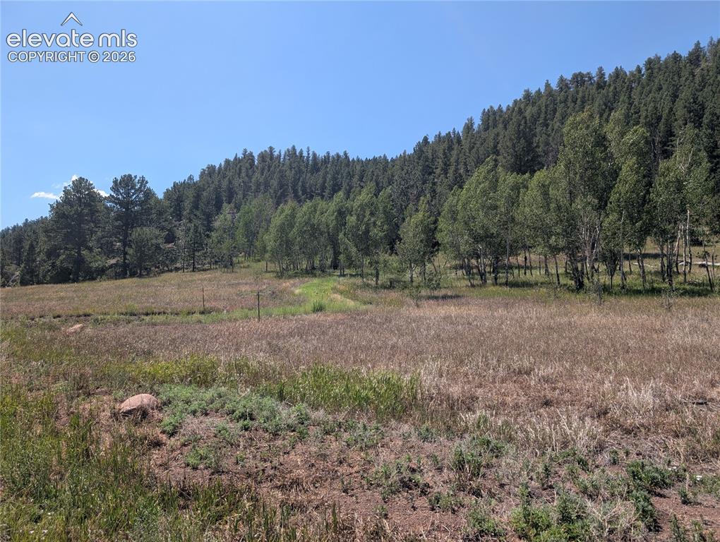 313 Elliott Drive Florissant CO 80816