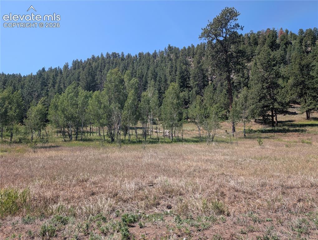 313 Elliott Drive Florissant CO 80816