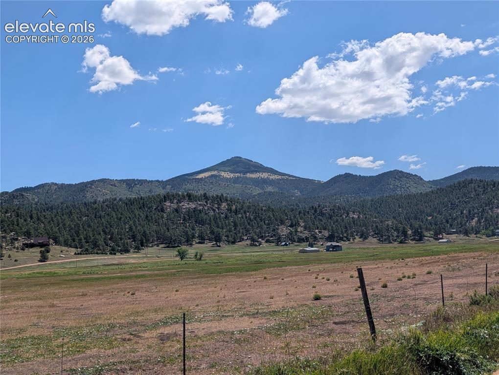 313 Elliott Drive Florissant CO 80816