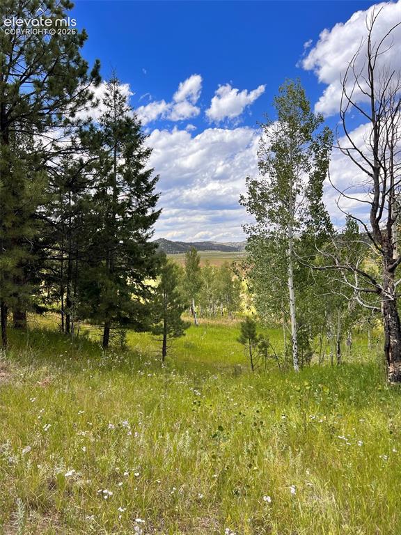 313 Elliott Drive Florissant CO 80816