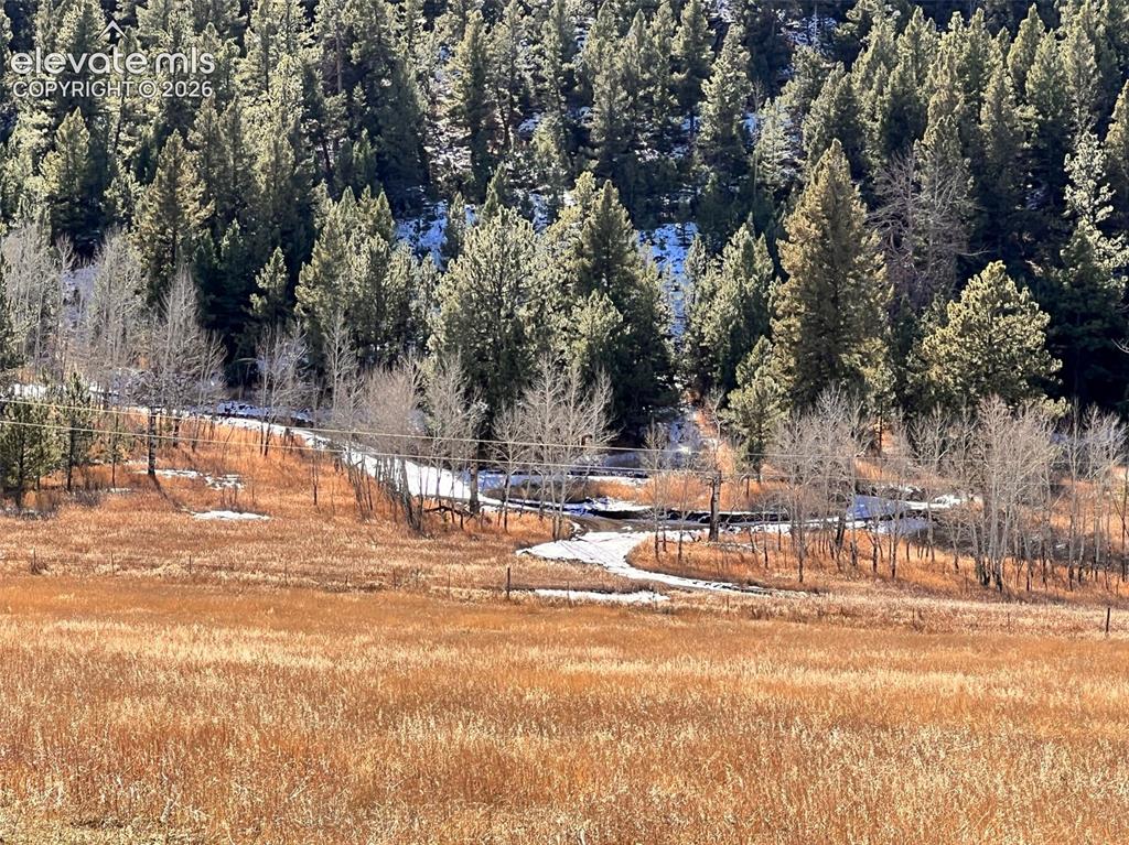 313 Elliott Drive Florissant CO 80816