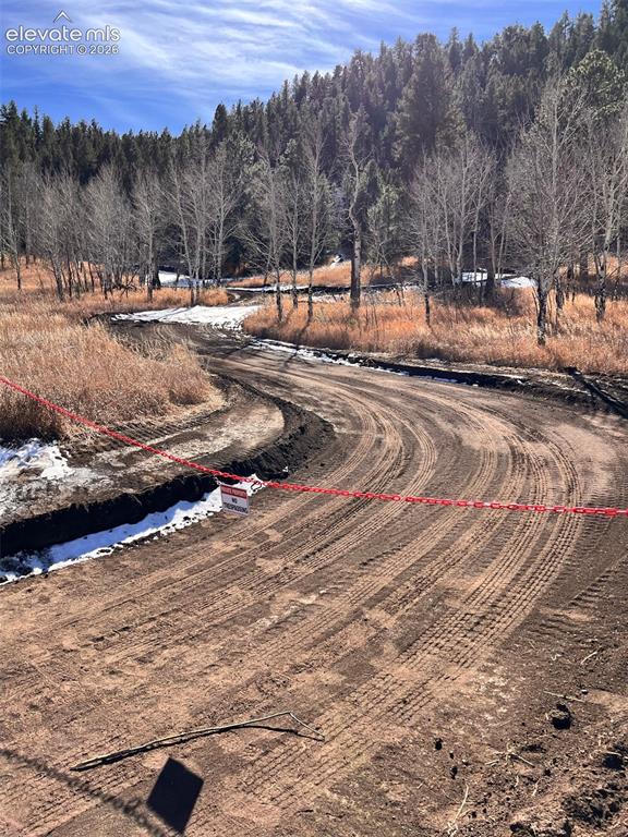 313 Elliott Drive Florissant CO 80816