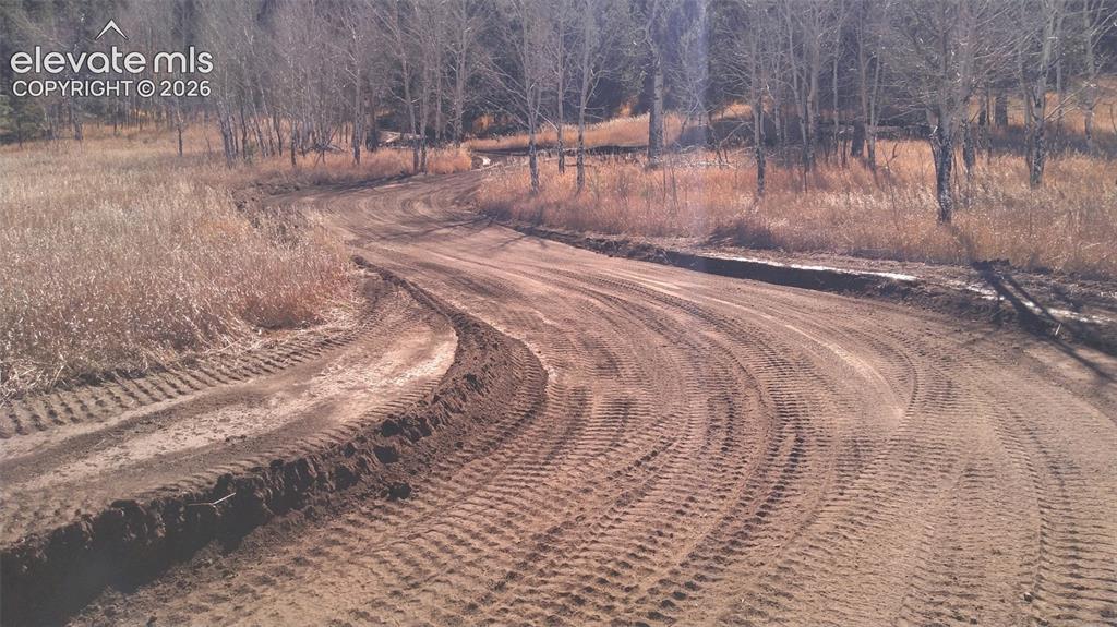 313 Elliott Drive Florissant CO 80816