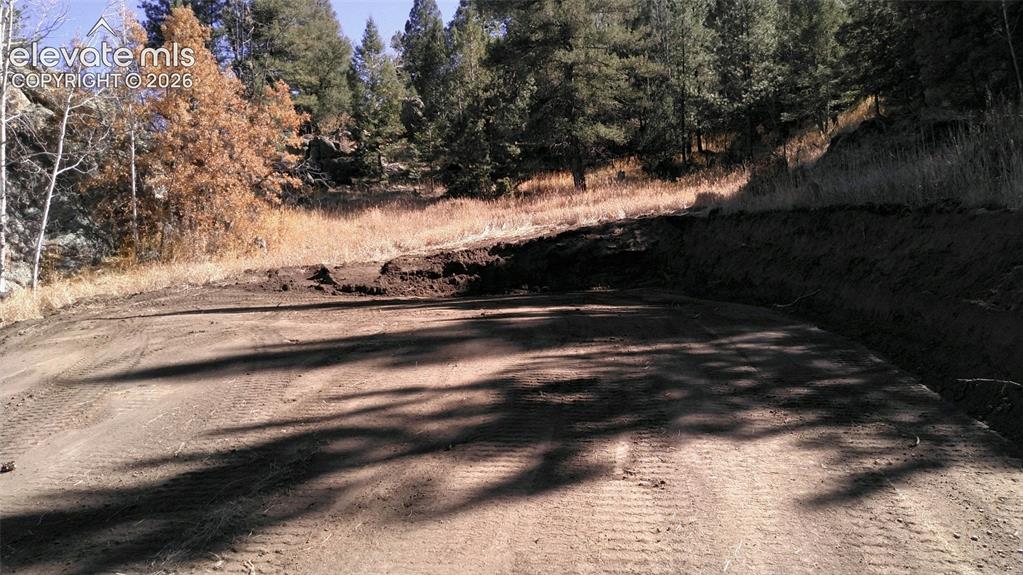 313 Elliott Drive Florissant CO 80816