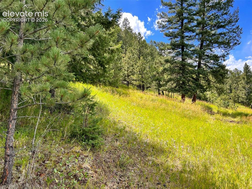 313 Elliott Drive Florissant CO 80816