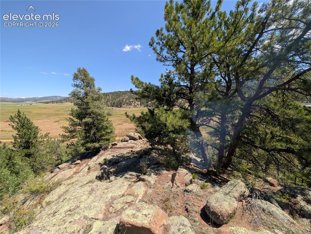 313 Elliott Drive Florissant CO 80816