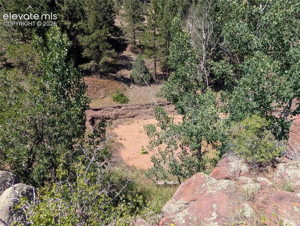 313 Elliott Drive Florissant CO 80816