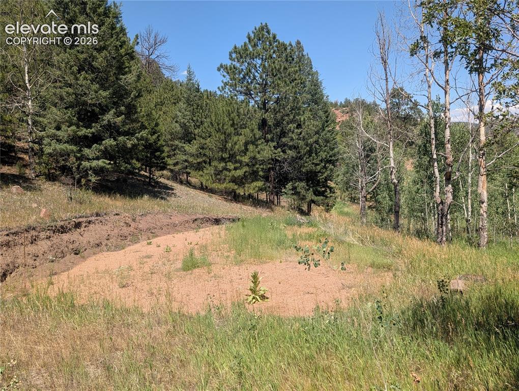 313 Elliott Drive Florissant CO 80816