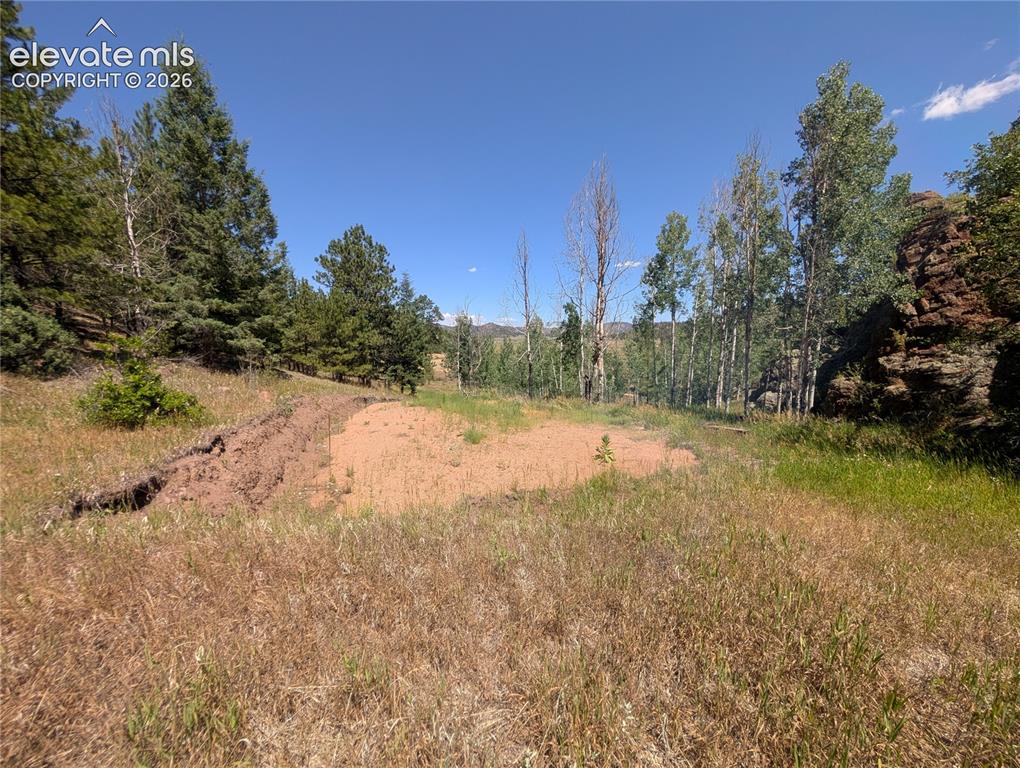 313 Elliott Drive Florissant CO 80816