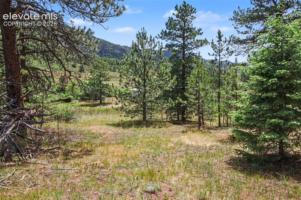 10905 W Highway 24 Green Mountain Falls CO 80819