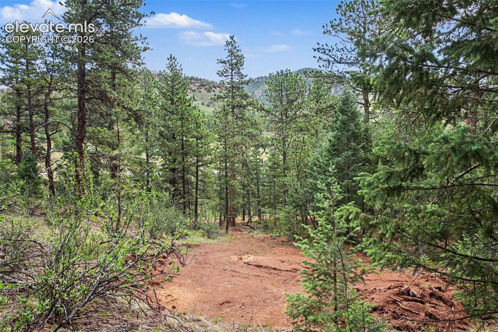 10905 W Highway 24 Green Mountain Falls CO 80819