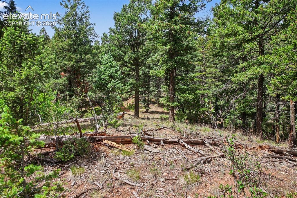10905 W Highway 24 Green Mountain Falls CO 80819
