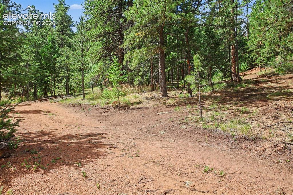 10905 W Highway 24 Green Mountain Falls CO 80819