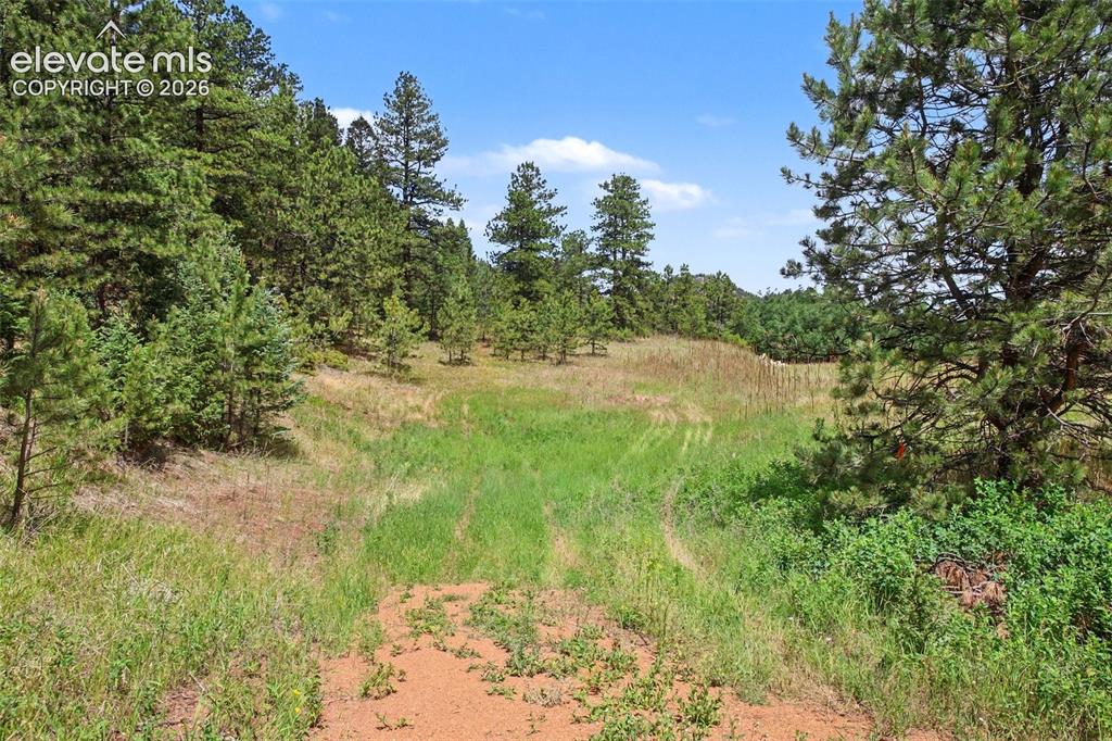 10905 W Highway 24 Green Mountain Falls CO 80819