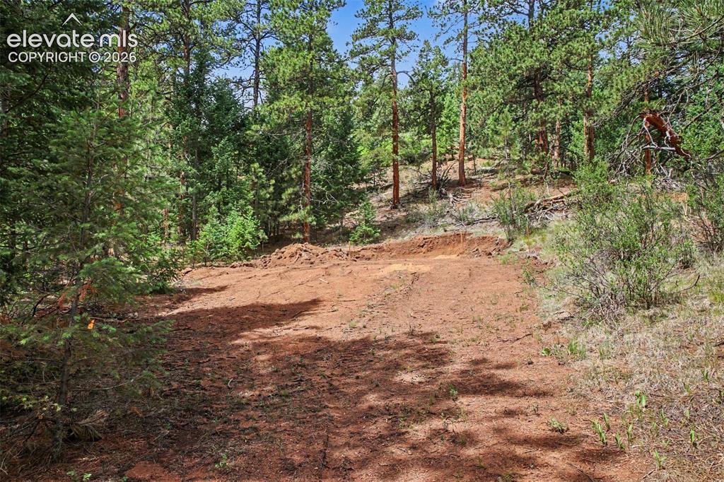 10905 W Highway 24 Green Mountain Falls CO 80819