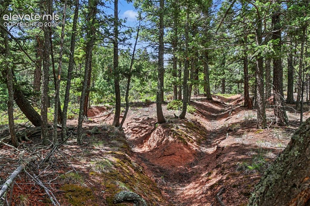 10905 W Highway 24 Green Mountain Falls CO 80819