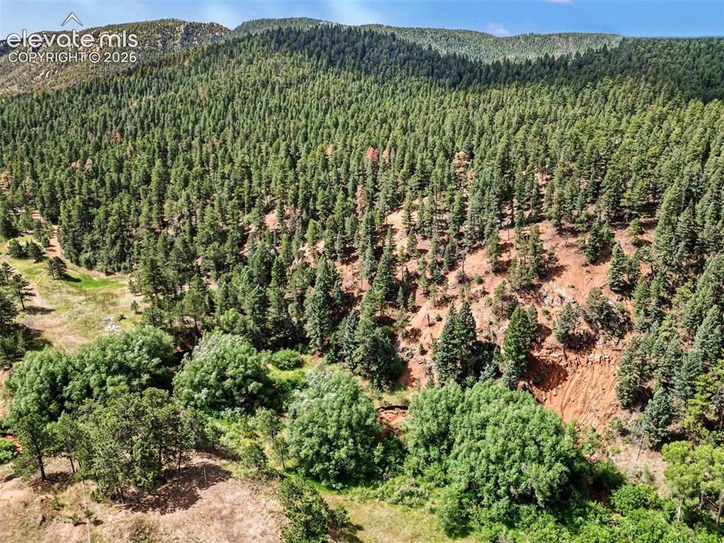 10905 W Highway 24 Green Mountain Falls CO 80819