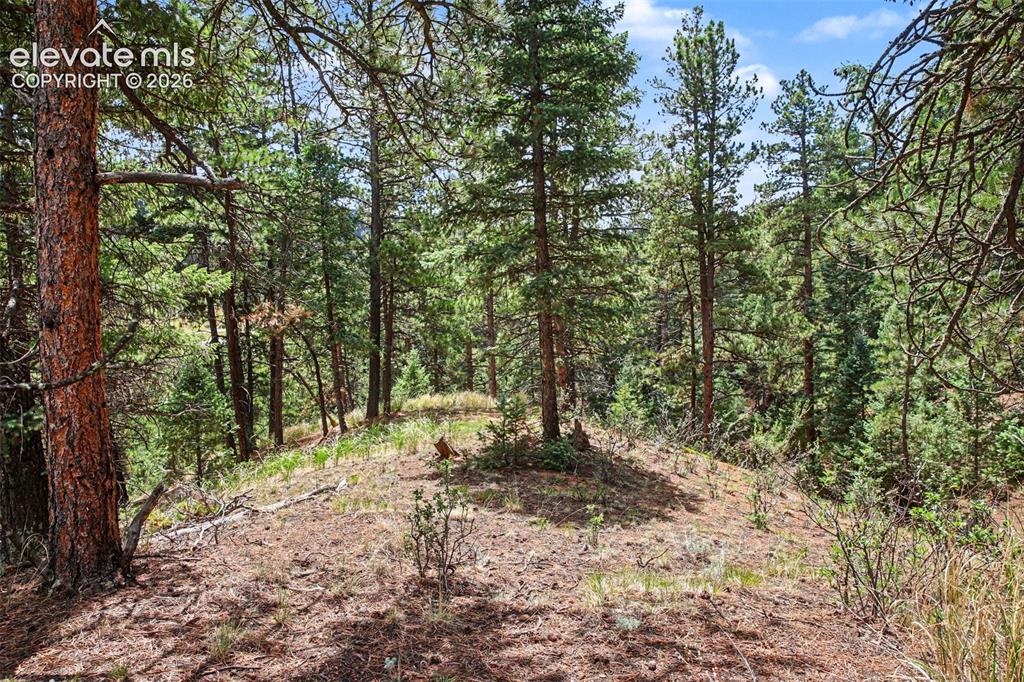 10905 W Highway 24 Green Mountain Falls CO 80819