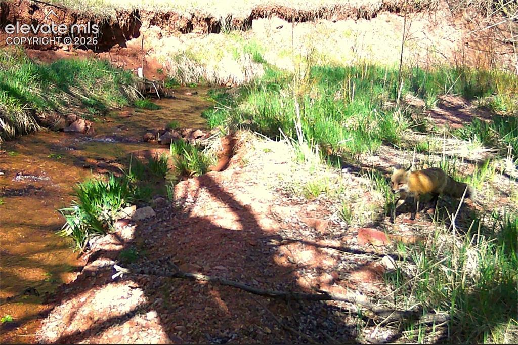 10905 W Highway 24 Green Mountain Falls CO 80819