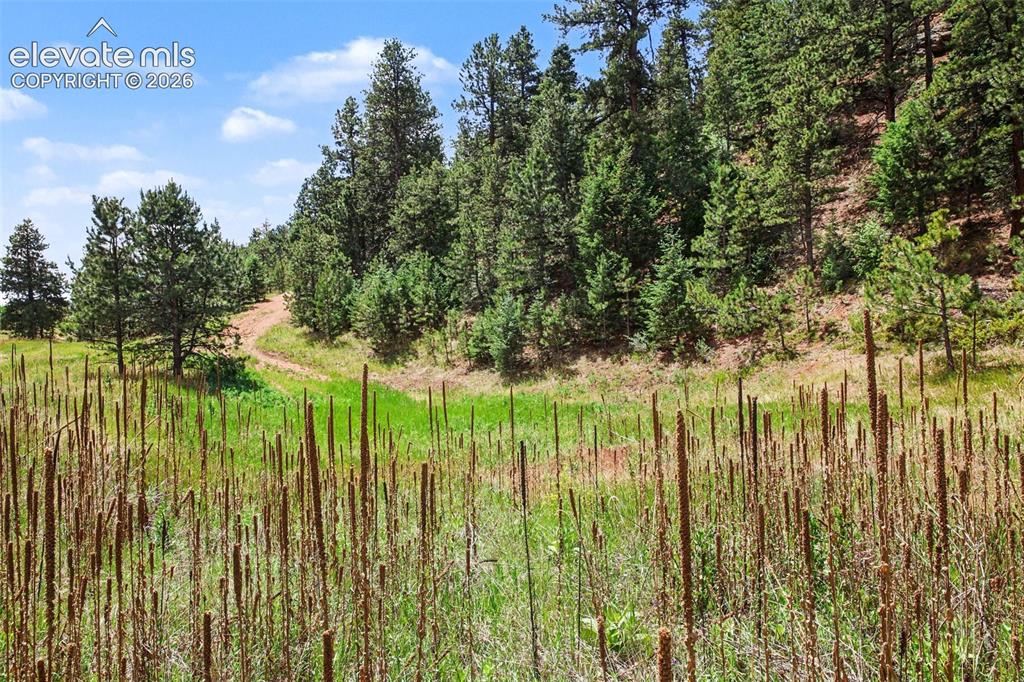 10905 W Highway 24 Green Mountain Falls CO 80819