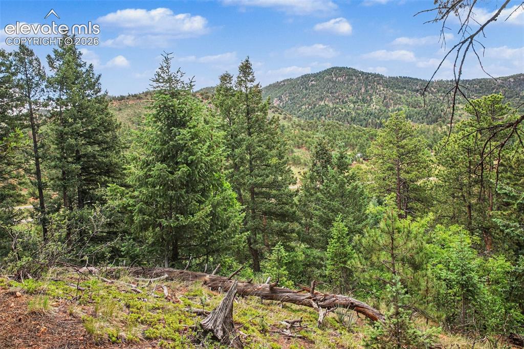 10905 W Highway 24 Green Mountain Falls CO 80819