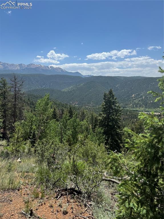 8743 High Mark Point Woodland Park CO 80863