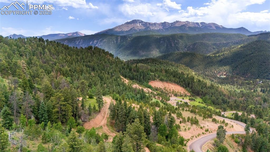 8743 High Mark Point Woodland Park CO 80863