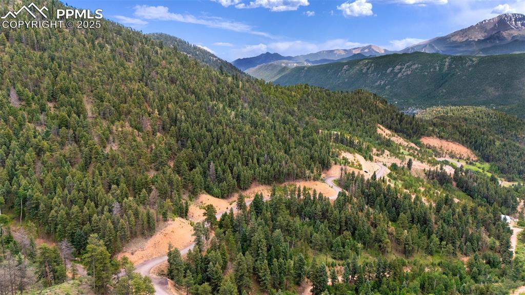 8743 High Mark Point Woodland Park CO 80863