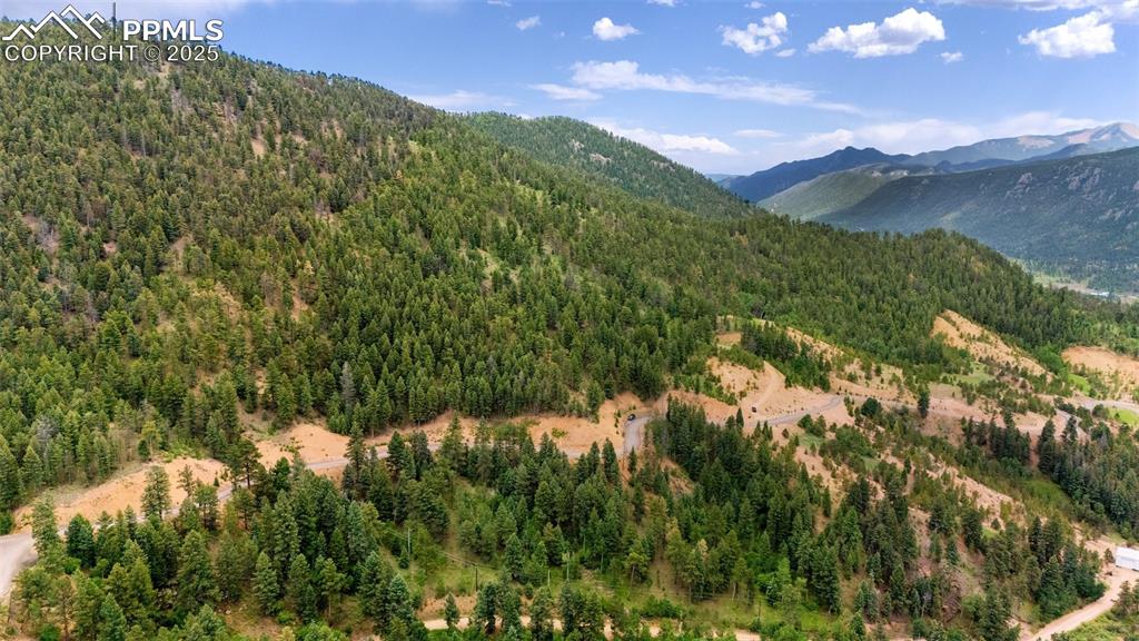 8743 High Mark Point Woodland Park CO 80863