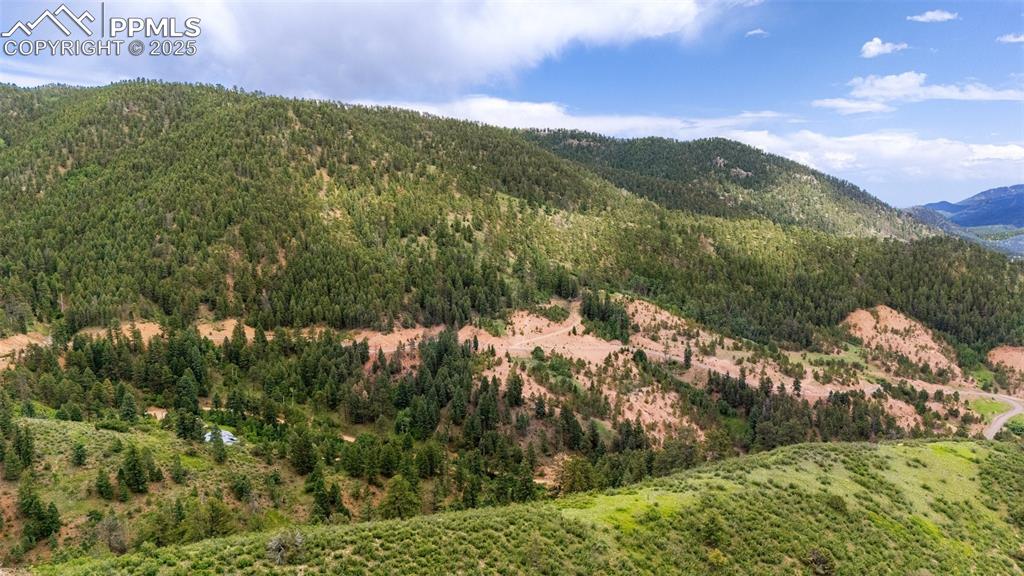 8743 High Mark Point Woodland Park CO 80863